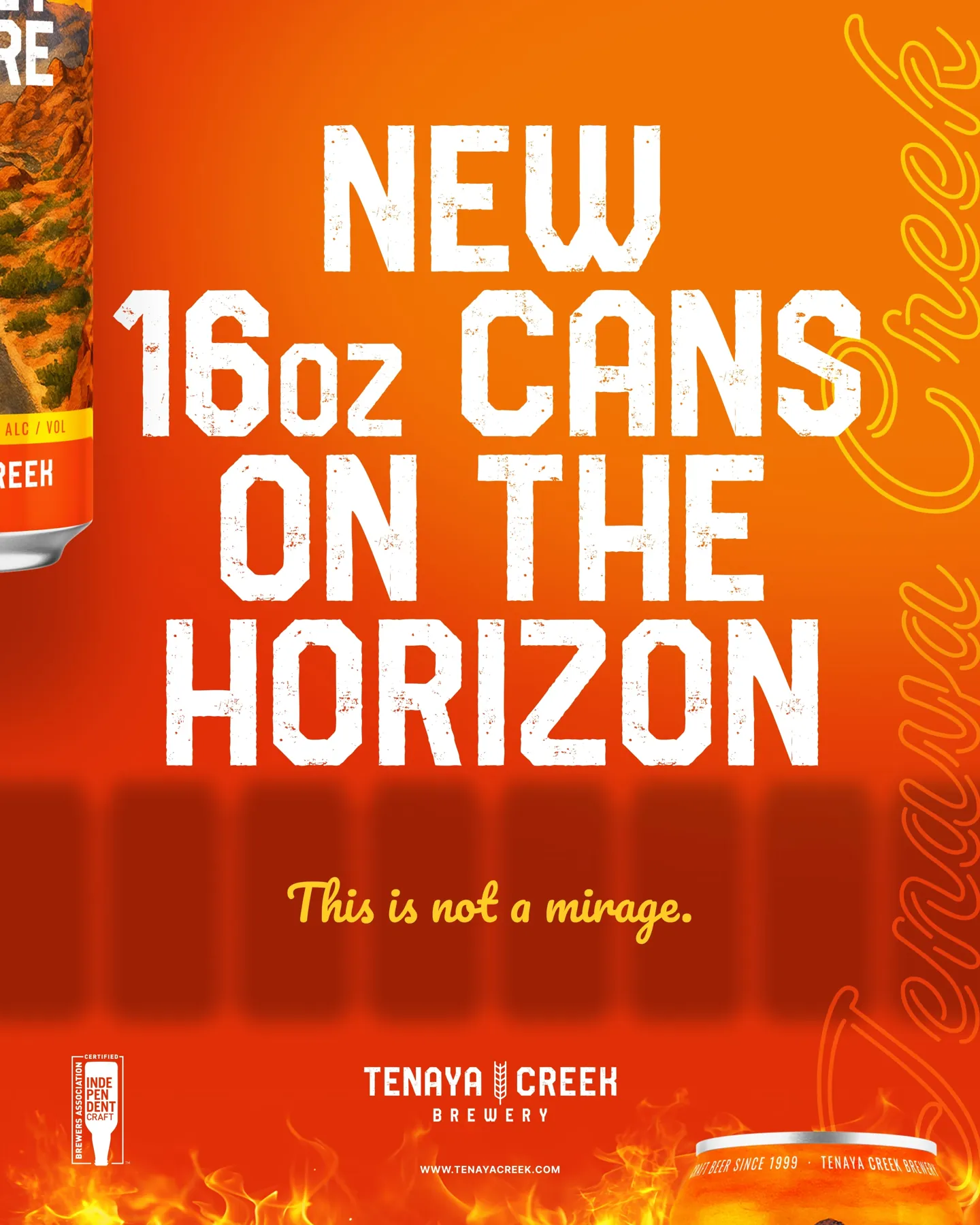 New 16oz cans on the horizon · Collection campaign