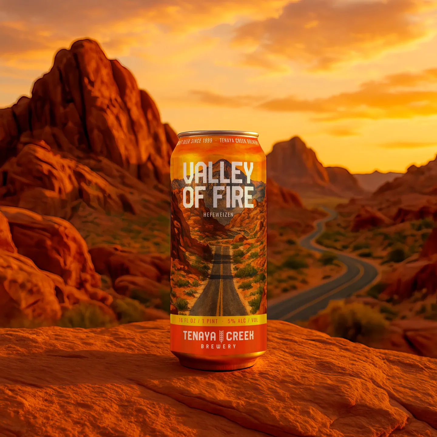 Valley of Fire · Desert sunset presentation